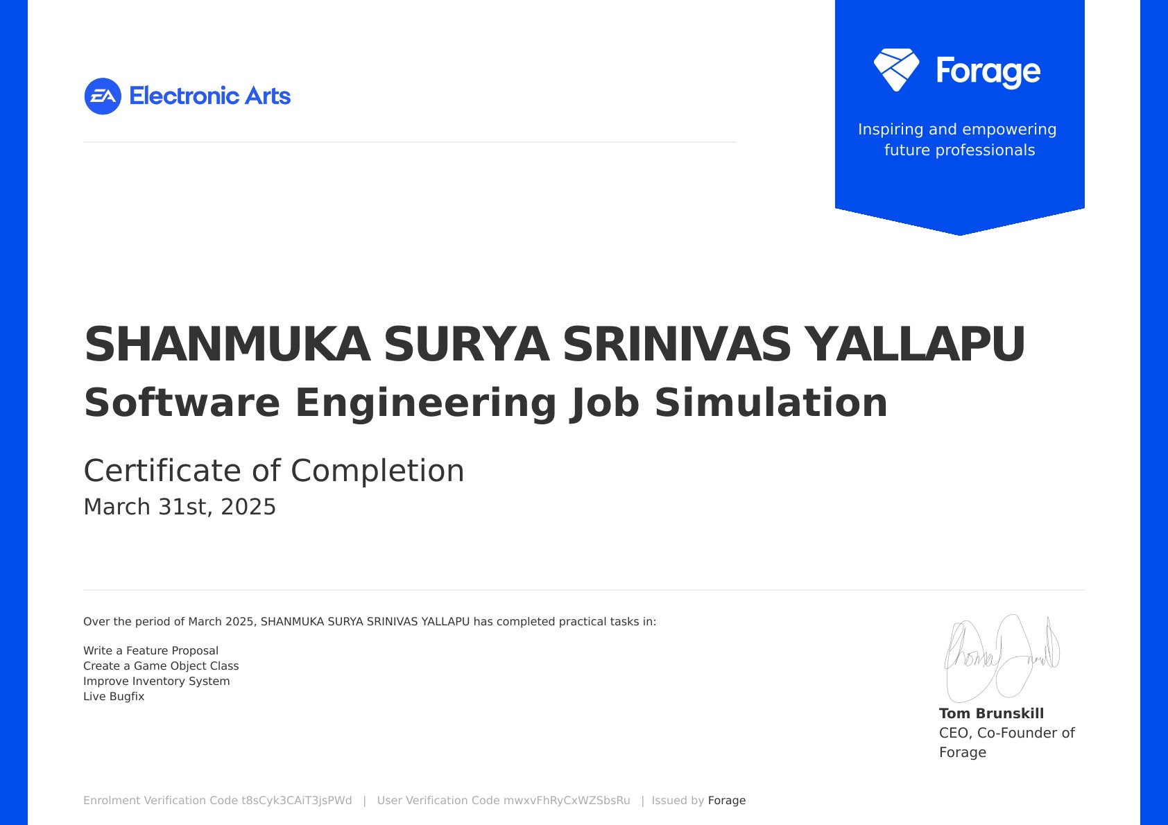 Software Engineering by Electronic Arts